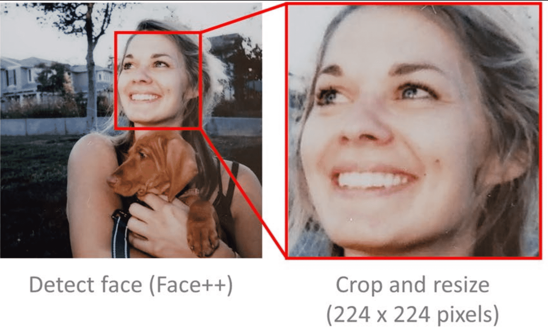 claim-facial-recognition-ai-can-reveal-your-political-party