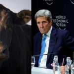 bill-gates-john-kerry-wef-cows-climate-change
